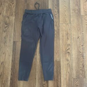 Alphalete Grey Jogger Pants